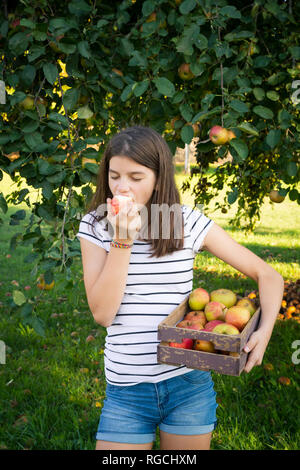 Mädchen essen frisch geernteten Apple Stockfoto