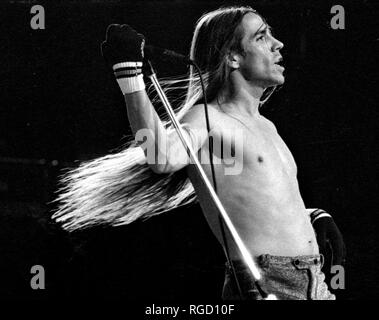 Red Hot Chili Peppers Anthony Kiedis in Concert am großen Holz in Mansfield Ma, USA 1992 Foto von Bill Belknap Stockfoto