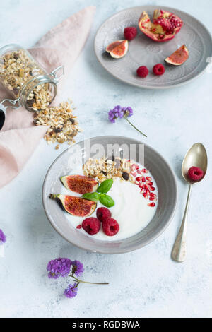 Schüssel Naturjoghurt mit Obst Müsli, Himbeeren, Feigen und Granatäpfel, Saatgut Stockfoto