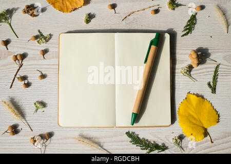 Herbst Früchte und Notizen auf einem Holztisch Stockfoto