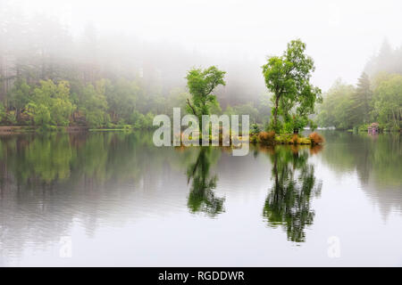 Großbritannien, Schottland, Scottish Highlands, Glencoe, Glencoe Lochan, Morgennebel Stockfoto