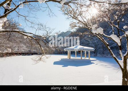 Winterlandschaft in Naejangsan Nationalpark, Südkorea. Stockfoto