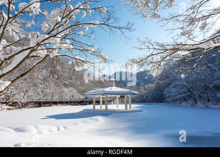 Winterlandschaft in Naejangsan Nationalpark, Südkorea. Stockfoto