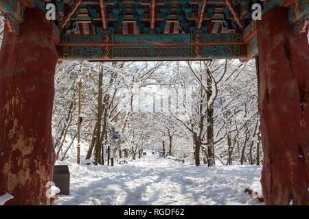 Schöne Winterlandschaft in Naejangsan Nationalpark, Südkorea. Stockfoto