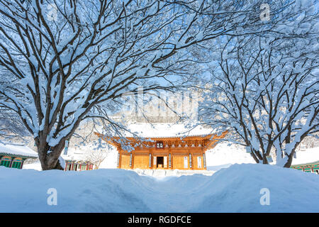 Schnee bedeckt die Bäume und Naejangsa Naejangsan Tempels im Nationalpark, Südkorea. Stockfoto