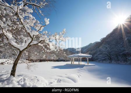 Winterlandschaft in Naejangsan Nationalpark, Südkorea. Stockfoto