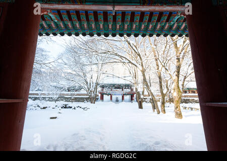 Schnee bedeckt die Bäume und Naejangsa Naejangsan Tempels im Nationalpark, Südkorea. Stockfoto