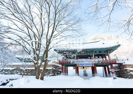 Schnee bedeckt die Bäume und Naejangsa Naejangsan Tempels im Nationalpark, Südkorea. Stockfoto