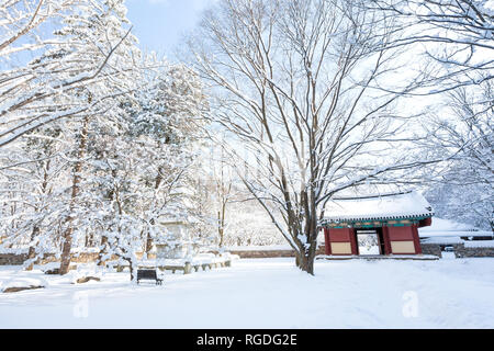 Schnee bedeckt die Bäume und Naejangsa Naejangsan Tempels im Nationalpark, Südkorea. Stockfoto