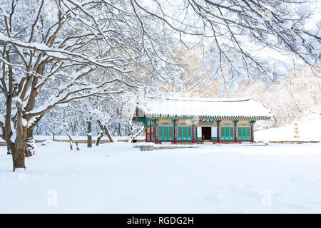 Schnee bedeckt die Bäume und Naejangsa Naejangsan Tempels im Nationalpark, Südkorea. Stockfoto