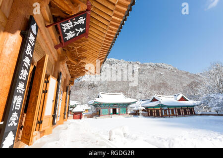 Schnee bedeckt die Bäume und Naejangsa Naejangsan Tempels im Nationalpark, Südkorea. Stockfoto