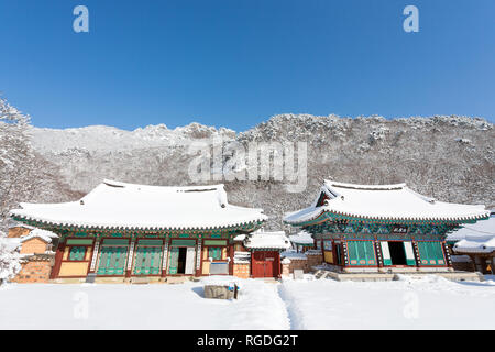 Schnee bedeckt die Bäume und Naejangsa Naejangsan Tempels im Nationalpark, Südkorea. Stockfoto