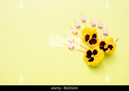 Nahtlose Hintergrund mit Sommerblumen. wunderschöne Muster mit niedlichen Stiefmütterchen Blumen. Floral background für Textilien, Tapeten, musterfüllungen, Abdeckungen Stockfoto