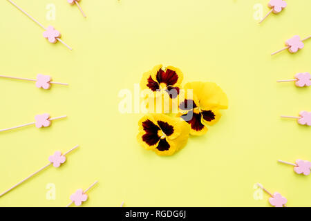 Nahtlose Hintergrund mit Sommerblumen. wunderschöne Muster mit niedlichen Stiefmütterchen Blumen. Floral background für Textilien, Tapeten, musterfüllungen, Abdeckungen Stockfoto