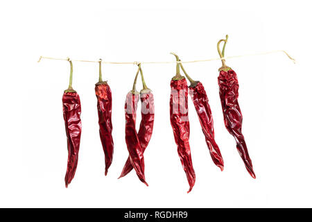 Gruppe von getrockneten würzigen chili peppers auf weißem Hintergrund Stockfoto