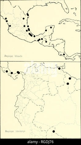 . Bulletin des Museums für Vergleichende Zoologie an der Harvard College. Zoologie. Gea und Argiope Spinnen • Levi 351. Karte 6. Verteilung von Argiope blanda O. P.-Cambridge und A. savignyi neue Arten. Tata. Die epigynum, wie die von nicht verwandten Arten, ist mit exsudat nach der Paarung, klammert sich an die abgebrochene embolus Tipp (Feigen gefüllt. 168, 169). Die männlichen unterscheidet sich von A. argentata auch durch eine kontrastierende Col-ors und durch mangelnde die Gabel an der Spitze des Embolus Der palpus (Abbn. 166 - 169) 1. Verteilung. Costa Rica, British Guiana, zu Bolivien (Karte 6). Datensätze. Costa Rica, Puerto Stockfoto