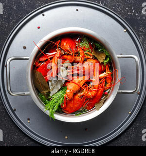 Gekochte Languste mit Dill und Lorbeerblatt in Kochtopf auf schwarzem Hintergrund oben Stockfoto