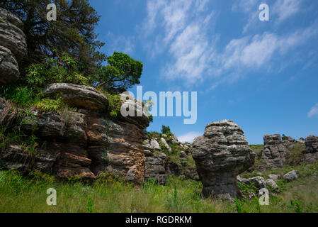 Eine seltsame, schöne Pilz-Rock in der Nähe von Sand Höhlen in der Provinz Mpumalanga, Südafrika. Stockfoto