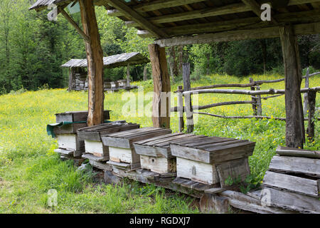 Sommer Blick Tal und Imkerei im alten Dorf. Nesselsucht Herstellung von manuellen sposb mit Holzspänen bedeckt. Ehemalige home Methode zu bauen. Bienenhaus in Th Stockfoto