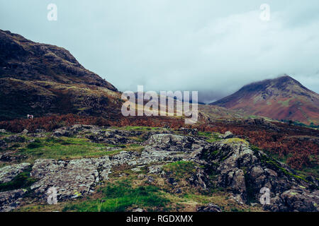 Wastwater Sees im Lake District, Cumbria, England Stockfoto