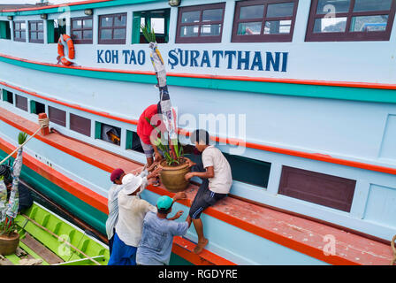 Hafenarbeiter Entladen der Frachter Verbindung der Insel mit dem Festland auf dem Mae Haad Pier auf Koh Tao, Thailand Stockfoto