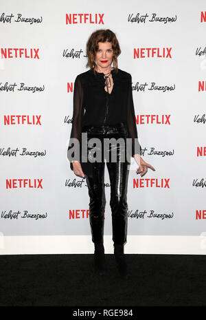 Hollywood, Ca. 28 Jan, 2019. Rene Russo, im Velvet Kreissäge Premiere Screening Im Egyptian Theatre in Los Angeles, Kalifornien am 28. Januar 2019. Credit: Faye Sadou/Medien Punch/Alamy leben Nachrichten Stockfoto