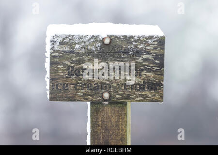 Thirlmere, Keswick, Cumbria. 29. Jan 2019. UK Wetter: ein Schild "Reserviert für Eis Verkäufer" beschriftet, dargestellt im Schnee bei Thirlmere, Keswick, Cumbria, Großbritannien. 29. Januar 2019. Foto von Richard Holmes. Credit: Richard Holmes/Alamy leben Nachrichten Stockfoto