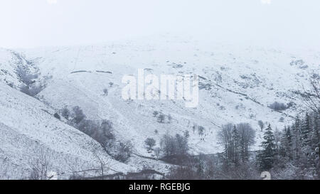 Thirlmere, Keswick, Cumbria. 29. Jan 2019. UK Wetter: ein Weiß - auf der Oberseite des unteren Mann, in der Nähe von Helvellyn, Thirlmere, während Schnee auf Thirlmere, Keswick, Cumbria, Großbritannien. 29. Januar 2019. Foto von Richard Holmes. Credit: Richard Holmes/Alamy leben Nachrichten Stockfoto