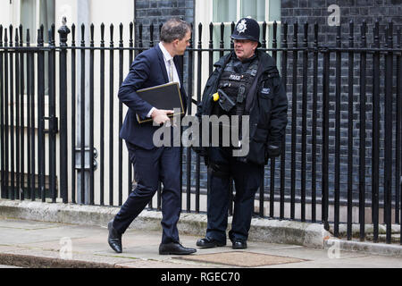 London, Großbritannien. 29 Jan, 2019. Julian Smith MP, Chief Whip, Blätter 10 Downing Street nach einer Kabinettssitzung am Tag der Abstimmung im Unterhaus zu Änderungen Premierminister Theresa's kann endgültige Brexit Rückzug Abkommen, das den Inhalt der nächsten Stufe der Verhandlungen mit der Europäischen Union bestimmen konnte. Credit: Mark Kerrison/Alamy leben Nachrichten Stockfoto