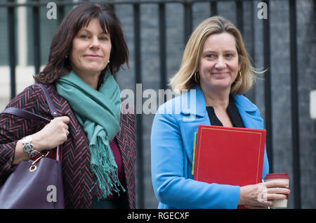 London, Großbritannien. 29. Januar, 2019. Minister verlassen die wöchentliche Kabinettssitzung in Downing Street 10 vor einer Reihe von wichtigen Abstimmungen über die Zukunft von Brexit im Parlament. Amber Rudd und Claire Perry Credit: PjrFoto/Alamy leben Nachrichten Stockfoto