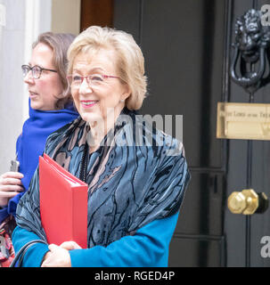 London, Großbritannien. 29. Januar, 2019. Andrea Leadsom MP PC, Führer des Unterhauses, hinterlässt eine Kabinettssitzung am 10 Downing Street, London Credit Ian Davidson/Alamy leben Nachrichten Stockfoto