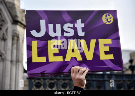Westminster, London, Großbritannien. 29. Januar 2019. Verschiedene Gruppen protestieren und aganst Brexit Bühne Demonstrationen gegenüber dem Parlament. Quelle: Matthew Chattle/Alamy leben Nachrichten Stockfoto