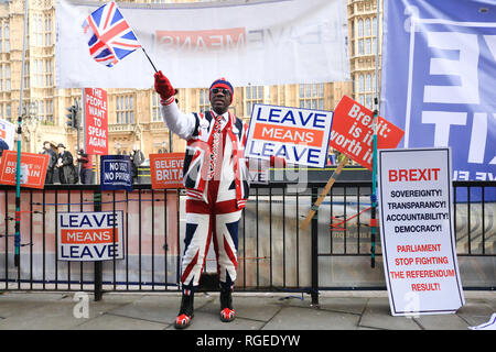 London, Großbritannien. 29. Januar 2019. Ein Pro verlassen Unterstützer zeigt außerhalb des Parlaments an dem Tag, an dem Premierminister Theresa May, der mehrere wichtige Änderungsanträge, einschließlich Brexit Sir Brady, den Änderungsantrag von der irischen Rücklaufsperre und Arbeit Änderung zu ersetzen Brexit und Artikel 50 Verzug, wenn kein Abkommen vom 26. Februar erreicht ist: Amer ghazzal/Alamy leben Nachrichten Stockfoto