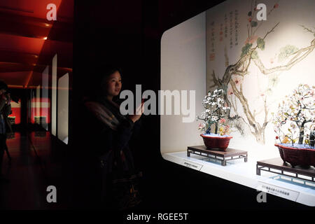 (190129) - Peking, Jan. 29, 2019 (Xinhua) - ein Journalist sieht sich Exponate in einer Ausstellung des Schatzes Galerie nach der zweiten Phase der Ausstellung Upgrade im Palace Museum in Peking, der Hauptstadt von China, Jan. 28, 2019. Die neue Galerie wird geöffnet, bevor das Frühlingsfest, das am 5. Februar dieses Jahres fällt. Der Schatz Gallery ist eine Reihe von Ausstellungsräumen im nordöstlichen Teil der Verbotenen Stadt in einem Bereich des Palace Museum, bekannt als der Palast der ruhigen Langlebigkeit Sektor (Ningshou gong Qu). Sie besteht aus sechs Galerie Zimmer, darunter vier aktualisiert und zeigt Stücke her Stockfoto