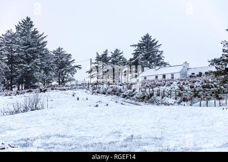 Howth, County Donegal, Irland. 29. Januar 2019. Schneefall in der nord-westlichen Küste mit mehr über Nacht vorhergesagt. Credit: Richard Wayman/Alamy leben Nachrichten Stockfoto