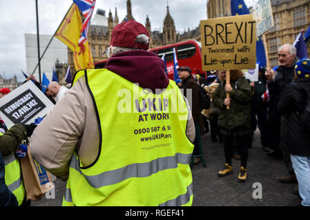 Westminster, London, Großbritannien. 29. Januar 2019. Verschiedene Gruppen protestieren und aganst Brexit Bühne Demonstrationen gegenüber dem Parlament. Quelle: Matthew Chattle/Alamy leben Nachrichten Stockfoto