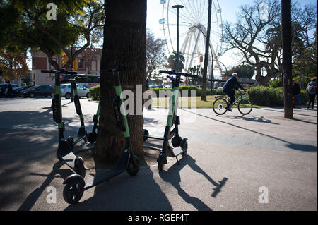 Januar 3, 2019 - Málaga, Spanien - Kostenlose Scooter sind zu sehen auf der Straße geparkt. Der spanische General Traffic Management wird von nun an einen Führerschein für die elektroroller und eine Versicherung unter anderem Maßnahmen bedarf, entsprechend einer neuen Dekret von der spanischen Regierung. In den letzten Monaten hat mehr Unfälle mit Elektroroller passiert, und ein Tod im vergangenen Jahr. Die Regierung erwarten, wie dies der Verwendung dieser Transporte zu regulieren und die Sicherheit verbessern. (Bild: © Jesus Merida/SOPA Bilder über ZUMA Draht) Stockfoto