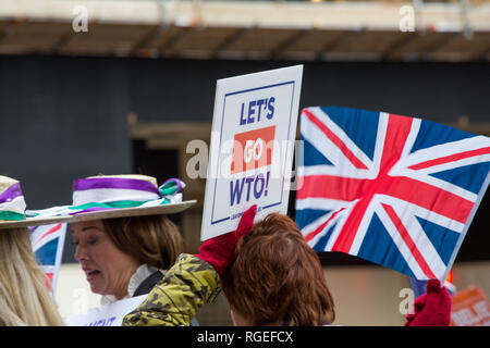 London, Großbritannien. 29. Januar, 2019. Pro und anti Brexit Demonstranten vor dem Parlamentsgebäude am Tag der Abstimmung zeigen über die Änderungsanträge zu dem Rückzug handeln. Credit: George Cracknell Wright/Alamy leben Nachrichten Stockfoto