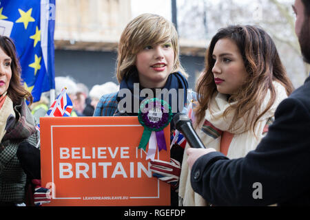 London, Großbritannien. 29. Januar, 2019. Pro und anti Brexit Demonstranten vor dem Parlamentsgebäude am Tag der Abstimmung zeigen über die Änderungsanträge zu dem Rückzug handeln. Credit: George Cracknell Wright/Alamy leben Nachrichten Stockfoto