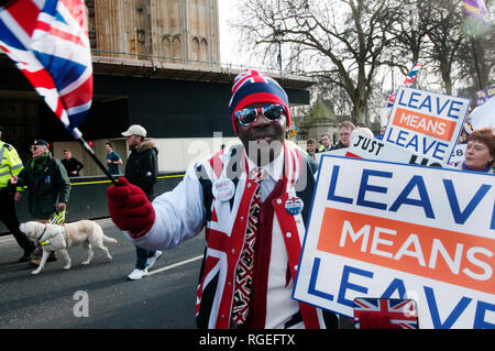 Westminster, London. 29. Januar 2019. Demonstranten, die für und gegen Brexit, außerhalb des Parlaments, wie Änderungen der Europäischen Entzug Vereinbarung werden auf gestimmt. Eine patriotische schwarzer Mann mit einem Union Jack weste Wellen ein Union Jack und hält ein Schild mit der Aufschrift "Verlassen bedeutet verlassen'. Credit: Jenny Matthews/Alamy leben Nachrichten Stockfoto