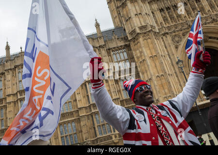 London, Großbritannien. 29. Januar, 2019. An dem Tag, an dem das britische Parlament wieder einmal Stimmen über eine Änderung des Premierministers Theresa's kann Brexit Deal, erfordert einen weiteren Verhandlungen mit der EU in Brüssel, pro-Bleiben Demonstranten vor dem Unterhaus sammeln, am 29. Januar 2019, in Westminster, London, England. Foto von Richard Baker/Alamy Leben Nachrichten. Stockfoto