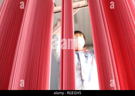 Binzhou, der chinesischen Provinz Shandong. 29 Jan, 2019. Ein Mitarbeiter lüftet farbigen Nudeln auf einem Workshop in Binzhou, der ostchinesischen Provinz Shandong, Jan. 29, 2019. Diese Nudeln werden natürlich mit Gemüse oder Früchte wie Karotten, Spinat und Drachenfrucht gefärbt. Credit: Zhang Chunfeng/Xinhua/Alamy leben Nachrichten Stockfoto