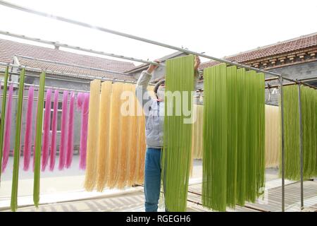 Binzhou, der chinesischen Provinz Shandong. 29 Jan, 2019. Ein Mitarbeiter lüftet farbigen Nudeln auf einem Workshop in Binzhou, der ostchinesischen Provinz Shandong, Jan. 29, 2019. Diese Nudeln werden natürlich mit Gemüse oder Früchte wie Karotten, Spinat und Drachenfrucht gefärbt. Credit: Zhang Chunfeng/Xinhua/Alamy leben Nachrichten Stockfoto