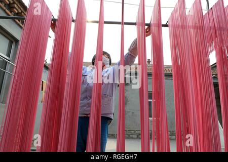 Binzhou, der chinesischen Provinz Shandong. 29 Jan, 2019. Ein Mitarbeiter lüftet farbigen Nudeln auf einem Workshop in Binzhou, der ostchinesischen Provinz Shandong, Jan. 29, 2019. Diese Nudeln werden natürlich mit Gemüse oder Früchte wie Karotten, Spinat und Drachenfrucht gefärbt. Credit: Zhang Chunfeng/Xinhua/Alamy leben Nachrichten Stockfoto