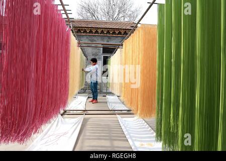 Binzhou, der chinesischen Provinz Shandong. 29 Jan, 2019. Ein Mitarbeiter lüftet farbigen Nudeln auf einem Workshop in Binzhou, der ostchinesischen Provinz Shandong, Jan. 29, 2019. Diese Nudeln werden natürlich mit Gemüse oder Früchte wie Karotten, Spinat und Drachenfrucht gefärbt. Credit: Zhang Chunfeng/Xinhua/Alamy leben Nachrichten Stockfoto