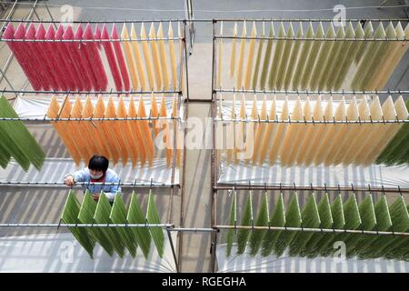 Binzhou, der chinesischen Provinz Shandong. 29 Jan, 2019. Ein Mitarbeiter lüftet farbigen Nudeln auf einem Workshop in Binzhou, der ostchinesischen Provinz Shandong, Jan. 29, 2019. Diese Nudeln werden natürlich mit Gemüse oder Früchte wie Karotten, Spinat und Drachenfrucht gefärbt. Credit: Zhang Chunfeng/Xinhua/Alamy leben Nachrichten Stockfoto