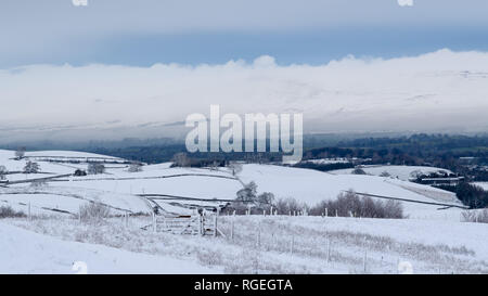 Eden Valley in der Nähe von Kirkby Stephen, Cumbria, Großbritannien. 29. Januar, 2019. Blick über den oberen Eden Valley in der Nähe von Kirkby Stephen nach dem Schnee Sturm, die sah, Transport alle über den Norden von England gestört. Credit: Wayne HUTCHINSON/Alamy leben Nachrichten Stockfoto