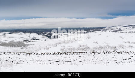 Eden Valley in der Nähe von Kirkby Stephen, Cumbria, Großbritannien. 29. Januar, 2019. Blick über den oberen Eden Valley in der Nähe von Kirkby Stephen nach dem Schnee Sturm, die sah, Transport alle über den Norden von England gestört. Credit: Wayne HUTCHINSON/Alamy leben Nachrichten Stockfoto