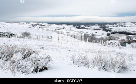 Eden Valley in der Nähe von Kirkby Stephen, Cumbria, Großbritannien. 29. Januar, 2019. Blick über den oberen Eden Valley in der Nähe von Kirkby Stephen ein Schneesturm, Cumbria, UK Credit: Wayne HUTCHINSON/Alamy leben Nachrichten Stockfoto