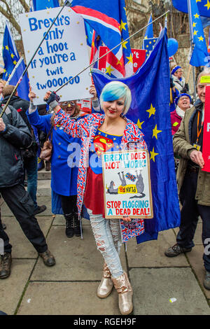 London, Großbritannien. 29. Januar, 2019. Verlassen bedeutet verlassen und SODEM, pro EU, Demonstranten weiterhin ihre Punkte, Seite an Seite zu machen, außerhalb des Parlaments wie die nächste Abstimmung über Theresa's kann Plan soll an diesem Abend. Credit: Guy Bell/Alamy leben Nachrichten Stockfoto